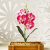 Fausse Orchidée Pas Cher | Bouquet Artificiel | Orchidées Artificielles | Bouqueternel