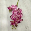 Fausse Orchidée Artificielle | Bouquet Artificiel | Orchidées Artificielles | Bouqueternel