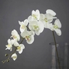 orchidée artificielle grande | Bouquet Artificiel | Orchidées Artificielles | Bouqueternel