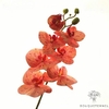 orchidée artificielle orange | Bouquet Artificiel | Orchidées Artificielles | Bouqueternel