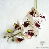 orchidée blanche fleur artificielle | Bouquet Artificiel | Orchidées Artificielles | Bouqueternel