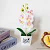 orchidée en pot artificielle | Bouquet Artificiel | Orchidées Artificielles | Bouqueternel