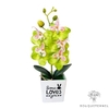 pot orchidée artificielle | Bouquet Artificiel | Orchidées Artificielles | Bouqueternel