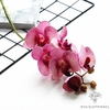 tige d'orchidée artificielle | Bouquet Artificiel | Orchidées Artificielles | Bouqueternel