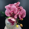tige orchidée artificielle | Bouquet Artificiel | Orchidées Artificielles | Bouqueternel