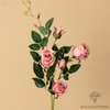 Rose Pour Tombe | Fleurs Artificielles Cimetière | Bouqueternel