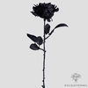 Fausse Rose Noir | Fleur Artificielle | Rose Artificielle | Bouqueternel