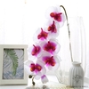 Grande Orchidée Artificielle | Fleurs Artificielles | Orchidées Artificielles | Bouqueternel