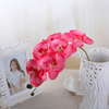 Orchidées Artificielles Haut de Gamme Rose Pâle Bouqueternel