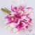 Orchidée Artificielle Blanche Et Rose | Bouquet Artificiel | Orchidées Artificielles | Bouqueternel
