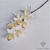 Orchidée Artificielle Blanche Pour Mariage | Bouquet Artificiel | Orchidées Artificielles | Bouqueternel