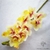 Décoration Orchidée Artificielle | Bouquet Artificiel | Orchidées Artificielles | Bouqueternel