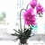 orchidée artificielle verre | Bouquet Artificiel | Orchidées Artificielles | Bouqueternel