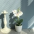 vase orchidée artificielle | Bouquet Artificiel | Orchidées Artificielles | Bouqueternel