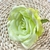 Fausse Rose Verte | Fleur Artificielle | Rose Artificielle | Bouqueternel