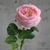 Fleur Rose Artificielle | Fleur Artificielle | Rose Artificielle | Bouqueternel