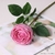Rose Synthétique | Fleur Artificielle | Rose Artificielle | Bouqueternel