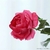 Rose Fausse | Fleur Artificielle | Rose Artificielle | Bouqueternel