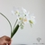 Fausse Fleur Blanche | Fleur Artificielle | Fausse Fleur | Bouqueternel