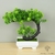 plante artificielle bonsai déco design - Plante Artificielle - Bonsai Artificiel - Bouqueternel