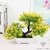 mini bonsaï artificiel - Plante Artificielle - Bonsai Artificiel - Bouqueternel
