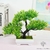 bonsai artificiel de qualite - Plante Artificielle - Bonsai Artificiel - Bouqueternel