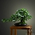 bonsai artificiel qualité - Plante Artificielle - Bonsai Artificiel - Bouqueternel
