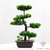 bonsai geant artificiel - Plante Artificielle - Bonsai Artificiel - Bouqueternel