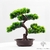 bonsai pin artificiel - Plante Artificielle - Bonsai Artificiel - Bouqueternel
