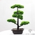 bonsaï artificiel géant - Plante Artificielle - Bonsai Artificiel - Bouqueternel