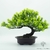 bonzai ficus artificiel - Plante Artificielle - Bonsai Artificiel - Bouqueternel