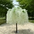 Arbre Fleuri Blanc Artificiel - Plante Artificielle - Arbre Artificiel - Bouqueternel