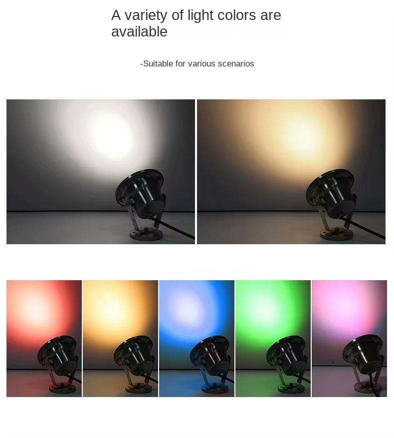 imgi_366_H2631786925f74f7c8b9c09a5292e3be4i