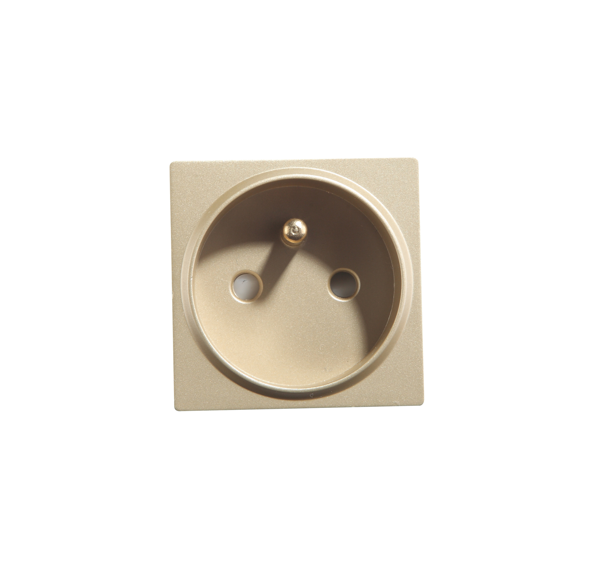 FR Socket Gold