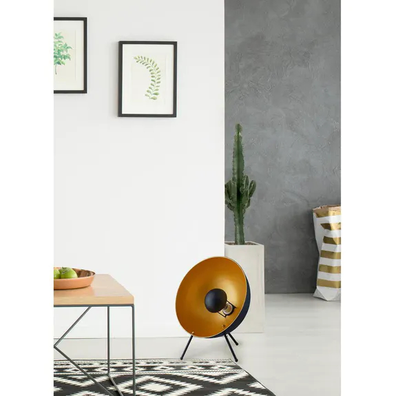 Honeyview_337304-47cd73eb10a2d7