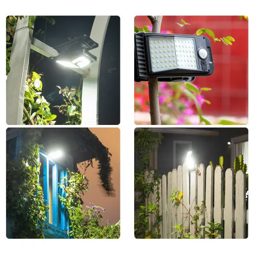 main-image-6