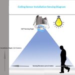 imgi_55_45eddf98-fcba-4943-b5e0-2d93652d34ff_trans