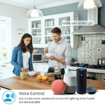 Tuya-vie-intelligente-Wifi-commutateur-relais-disjoncteur-Module-automatisation-clairage-intelligent-Google-Home-Alexa-Echo-t