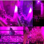 LED-spectre-complet-cultiver-des-ampoules-E27-plante-cultiver-des-lumi-res-lampe-pour-salle-hydroponique