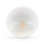 ampoule-led-e27-par38-13w-3000k2