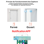 sgooway-tuya-wifi-porte-fenetre-capteur_main-3