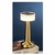 image principale_16