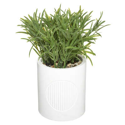 Plante en pot en ceramique H18