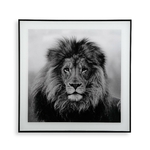 tableau_decoratif_lion