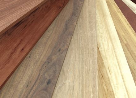 Couleurs de bois pour montres