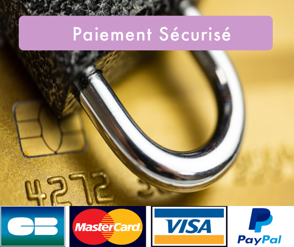 logo paiement secure