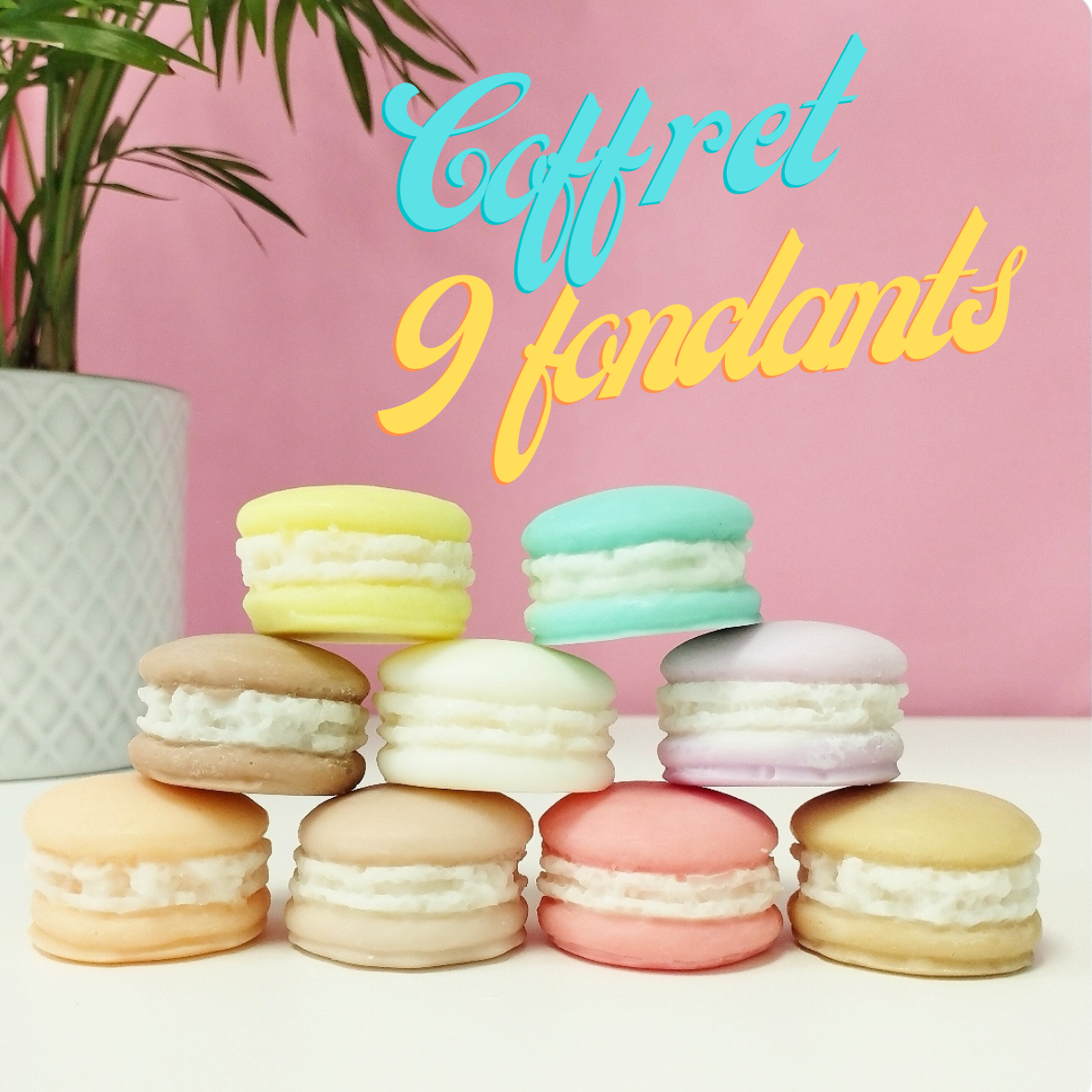 COFFRET 9 FONDANTS macarons