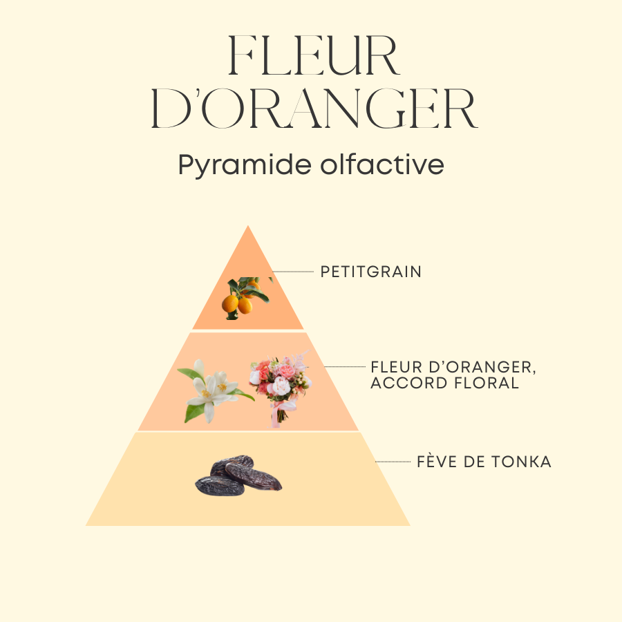 Pyramide olfactive Parfum FLEUR DORANGER