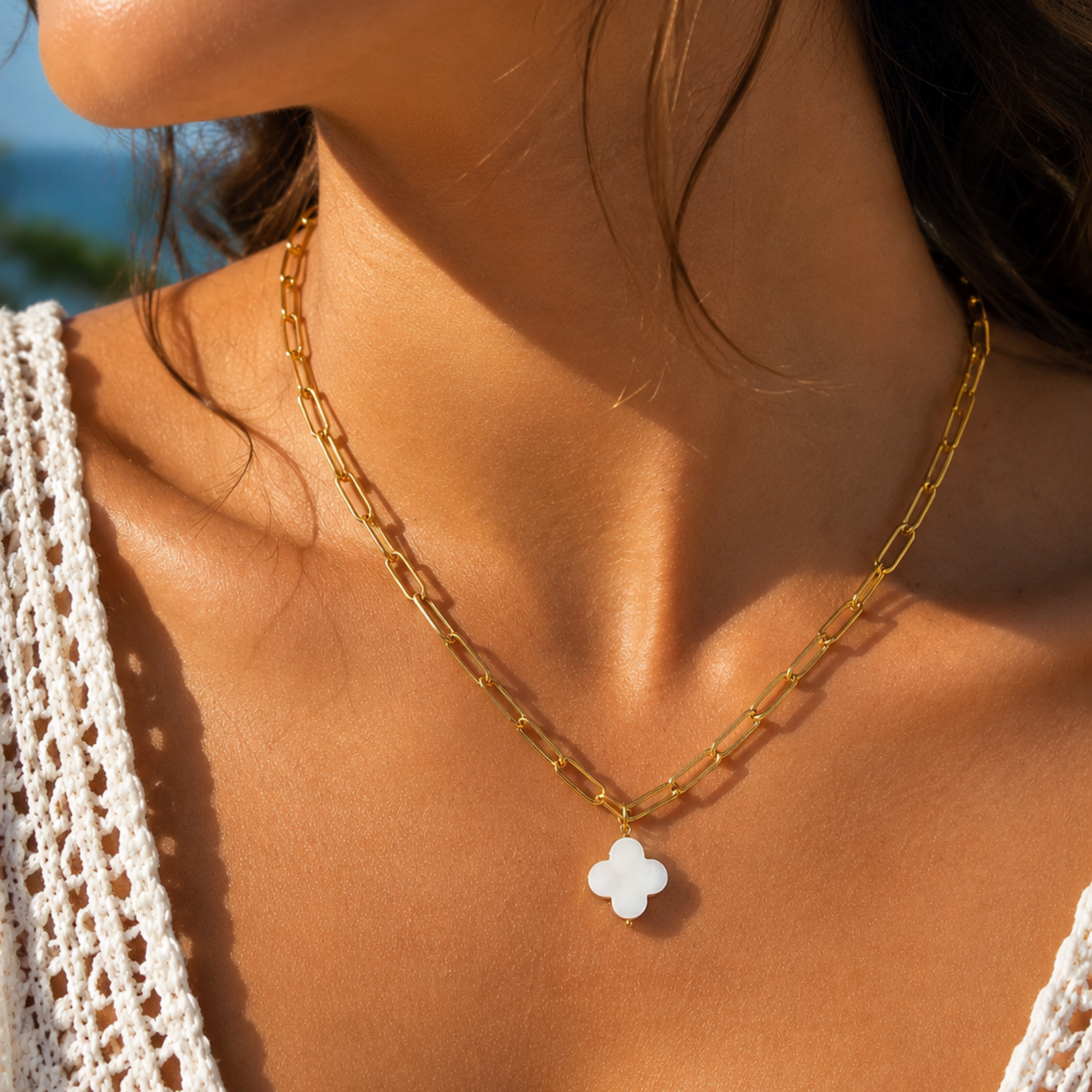 Collier acier inoxydable - Chaîne trombonne et pendentif en forme de trefle en nacre