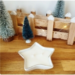 Bougie étoile de noel (1)